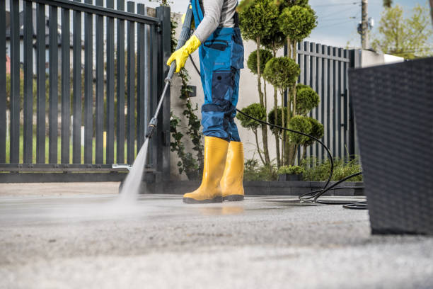 Best Driveway Pressure Washing  in Cowarts, AL